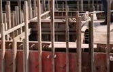 林頓全自動洗車機(jī)與客戶上下密切協(xié)作！兩套全自動洗車機(jī)設(shè)備水池（隧道機(jī)基礎(chǔ)）現(xiàn)已施工完畢